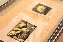 KWANCHAI ARTIST RECEPTION